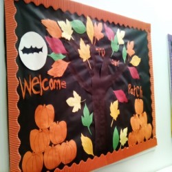 Autumn Display Board - Gold Standard Nursing Home Northamptonshire
