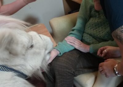 The Old Vicarage Care Home Enjoys a Visit from Lollipop Ponies