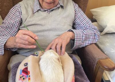Pet Therapy 4